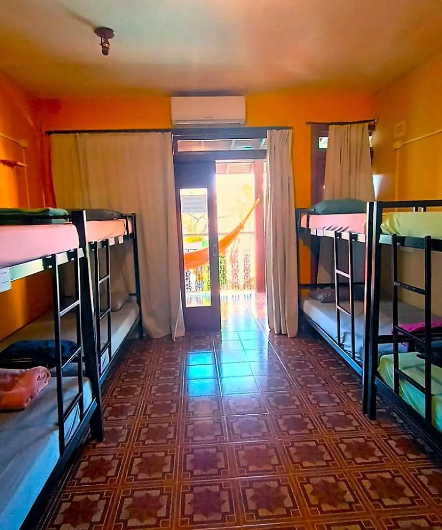 Geckos Hostel Florianópolis