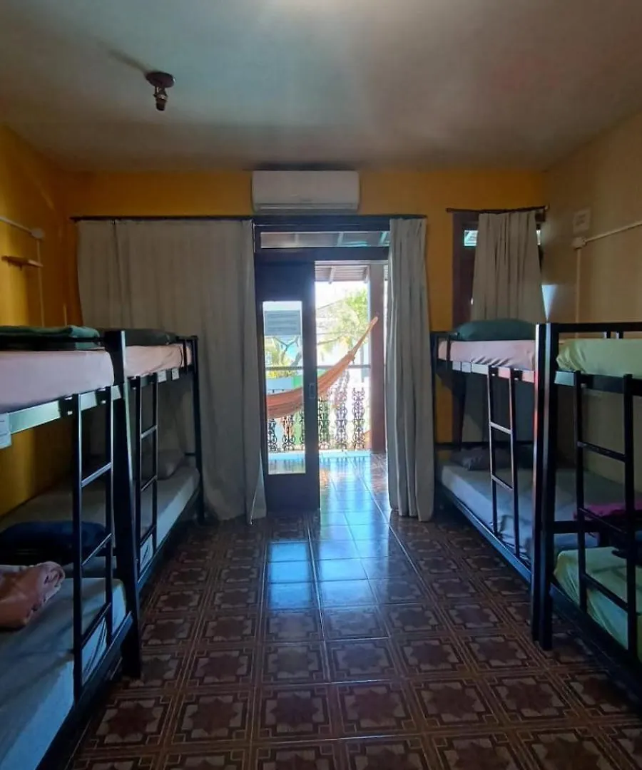Geckos Hostel Florianópolis Brazylia